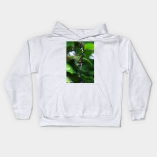 Orb Weaver Kids Hoodie